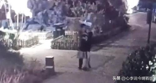 河北吃瓜爆料事件视频曝光,视频曝光事件引发热议  第1张